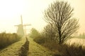 Traditional Dutch windmills at dawn Royalty Free Stock Photo