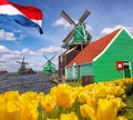 Traditional Dutch windmills with tulips in Zaanse Schans, Amsterdam area, Holland Royalty Free Stock Photo