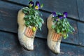 Traditional Dutch wooden clogs klompen using as garden pot for flowering pansies Royalty Free Stock Photo