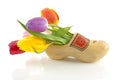 Traditional Dutch wooden shoe with tulips Royalty Free Stock Photo