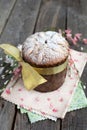 Traditional easter cake, Kulich Royalty Free Stock Photo