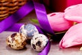 Traditional easter egg decoration with tulips and ribbo Royalty Free Stock Photo