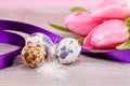 Traditional easter egg decoration with tulips and ribbo Royalty Free Stock Photo