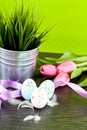 Traditional easter egg decoration with tulips and ribbo Royalty Free Stock Photo