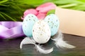 Traditional easter egg decoration with tulips and ribbo Royalty Free Stock Photo