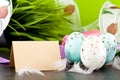 Traditional easter egg decoration with tulips and ribbo Royalty Free Stock Photo