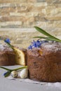 Traditional Easter panettone