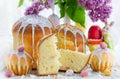 Traditional Easter sweet bread paska kulich cake Royalty Free Stock Photo