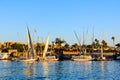 Traditional egyptian vessels feluccas and tourist boats moored near the bank of Nile river in Luxor, Egypt Royalty Free Stock Photo