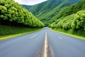 a traditional empty asphalt road in SÃÂ£o.