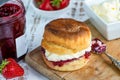 Scones with strawberry jam and clotted cream Royalty Free Stock Photo