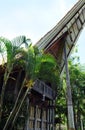 Traditional ethnic house of the original Sulawesi people, Indonesia