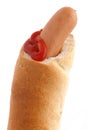 Traditional european hotdog