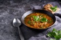 Traditional European and Russian soup borsch with cabbage and meat served in a plate on a dark stone table