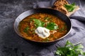 Traditional European and Russian soup borsch with cabbage, sour cream and meat served in a plate on a dark stone table