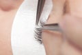 Traditional eyelash extensions. Selective focus. Makeup close-up. Royalty Free Stock Photo