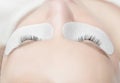 Traditional eyelash extensions. Selective focus. Toned. Makeup close-up.