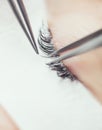 Traditional eyelash extensions. Selective focus. Toned. Makeup close-up.