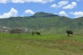 Traditional farm and field in Lesotho Royalty Free Stock Photo