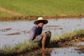 Traditional farmer with straw hat sitting in rice field looking at the camera, Banaue, Philippines