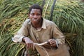 Traditional farmer transports fresh hay, Tanzania