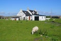 Traditional farmhouse on Scottish island