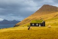 Traditional Faroese turf rooftop house on Streymoy Island. Gjogv, Faroe Islands