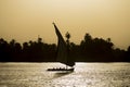 Traditional felluca sailing boat silhouette at sunset Royalty Free Stock Photo