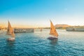 Traditional felucca boats on the Nile River in Aswan Royalty Free Stock Photo