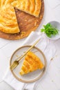 Traditional feta cheese phyllo pastry pie, borek or burek