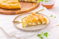 Traditional feta cheese phyllo pastry pie, borek or burek