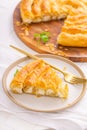 Traditional feta cheese phyllo pastry pie, borek or burek