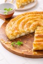 Traditional feta cheese phyllo pastry pie, borek or burek