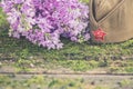 Traditional field cap on natural moss background, symbol of Victory Day, May 9