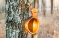 Traditional Finnish wooden mug `Kuksa` hanging on a tree in the autumn forest