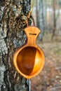Traditional Finnish wooden mug `Kuksa` hangs on a tree in an autumn forest at sunset