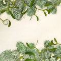 Traditional Fir and Mistletoe Winter Greenery Border Royalty Free Stock Photo