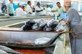 Traditional fish market in Mutrah, Oman. Several types of fish for sale, tuna and other fish.