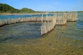 Traditional fish trap - Kosi Bay