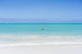 Traditional fisherman boat near the beach in clear water on tropical island Zanzibar, Tanzania Royalty Free Stock Photo