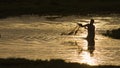 Traditional fisherman throwing a net in Sri Lanka