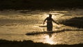 Traditional fisherman throwing a net in Sri Lanka