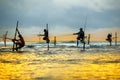 Traditional fishermen on sticks at the sunset in Sri Lanka