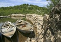 Traditional fishing boats