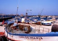 Traditional fishing boats, Sagres. Royalty Free Stock Photo