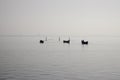 Traditional fishing boats during toil