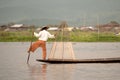 Traditional fishing by net in Inle lake,Myanmar. Royalty Free Stock Photo