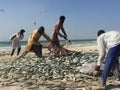 Traditional fishing in Oman