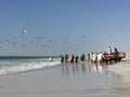 Traditional fishing in Oman