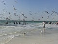 Traditional fishing in Oman